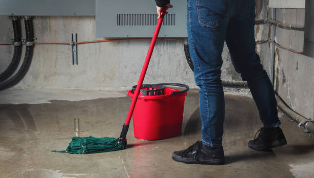 Best Carpet water damage restoration  in South Barre, VT