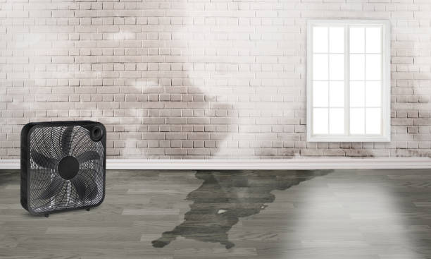 Best Commercial water damage restoration  in South Barre, VT
